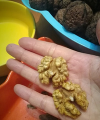 网购到了壳薄还好剥,膜不苦还好撕的鲜核桃