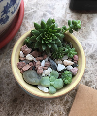 Ϊö⽡ĳɳһʯͷ̵С