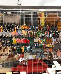 朋友介绍的一家宝藏小店清仓大甩卖,太给力了!