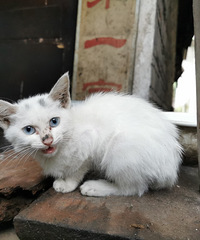 ǴΣϽȪˣͯ԰̫ḻ˰