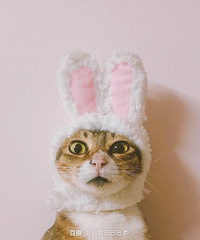 ���̴�ͬ�ڵ�С�����Ƕ����Ӷ���