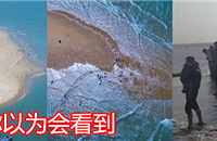 Ȧ쾰㵽жƭˣȥʵ̿