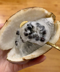 ����+���������ˮ��������ëǮ���㲻һ��û�Թ�