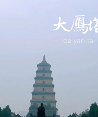西安比想象中还好耍,夜景超有感觉,各种小吃嗨得停不下来
