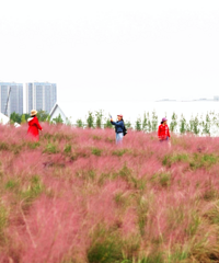 ֱѵĹ԰ķݿˣղҪ̫