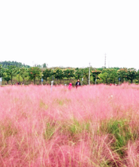 ֱѵĹ԰ķݿˣղҪ̫