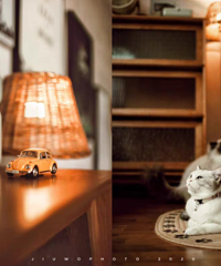 ʱһ꣬80ƽʽСʽҵɫϸڶ̫