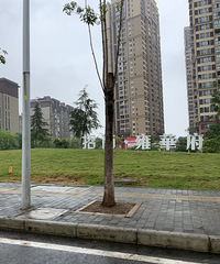 126ƽִ翪װϸ㣬Ǯڵ