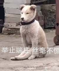 �µ����������С���Ӵ�������ҳ�����������