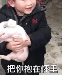 ������ֵ����ά��ҽ�Ƴ���ҽ����ƿ���20��12