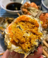 ���ǿ�ʼ�Դ�բз�����Ҿ������ڳ�ζ�������