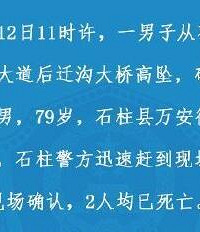 重庆男子跳桥自杀砸到桥下行人致死
