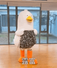 ������ֵ���򡿰ٹ�԰A������5��39��è�˱�ů������װ39