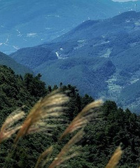 秋日里的武陵山,仙气飘飘