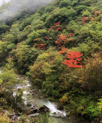 避开人山人海的周边游,住的民宿很有世外桃源的感觉,仙气飘飘