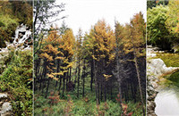 5ԼݴԽ룬һ·ԳԺȺȿ