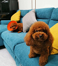 װ޽͹װ޵ĺ̼ǣҰ̨Ƽ