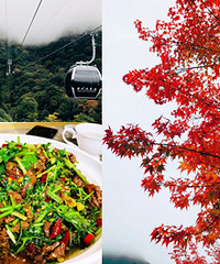 光雾山2日游,红枫超美,美食安逸得板