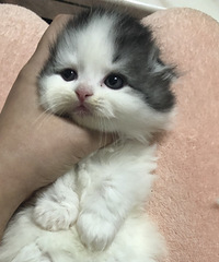 Ǽҵĳëèһˣϲɨһβ