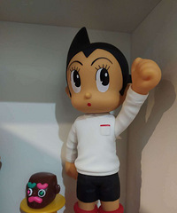 798带回来的小可爱