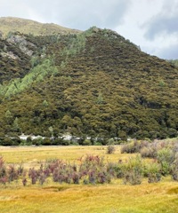 ˵߾ߵĵǶоԼˣ˸į̫࣬Ǯ