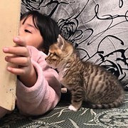 感觉猫能看懂女儿的画