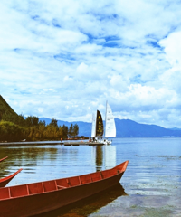 ٶȸɺջԼΣ·ͻ¶԰