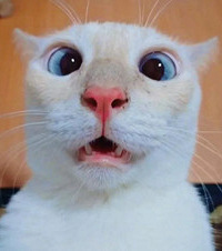 Ϊ޶˾ëͬ°Ѽ2綯λ