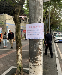 真羡慕那些住在花卉园的人,美食丰富交通便捷还有免费公园可以逛
