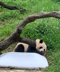 ȥݳ¡ޣͨˬ˳򿨻źͺ