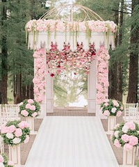 飬ʽҪ𣿱죬Ҿ򵥳Ը