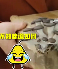 网购花肥,包裹放了11天长出一簇平菇,你们说这可以吃吗