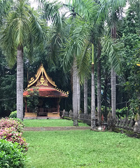 ˫ɼֱӱ֮أֺóԣ˹