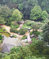 ȥ빫԰ѵľջչ԰մĲ