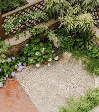 УҼҵķǾ䣬һִĻ԰ļ