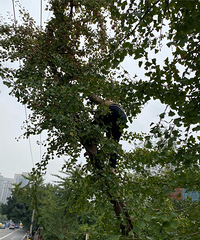 ���ӹ������ˣ�ÿ�궼�������Ͽ�����������ʿ��