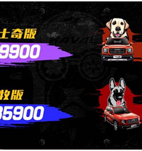 [̬]ȫƷSUV󹷺ϴСƷǳз