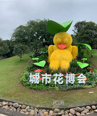 2020重庆花博会开幕第一天的现场直播,快来看详细的攻略