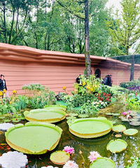 2020���컨���ῪĻ��һ����ֳ�ֱ������������ϸ�Ĺ���