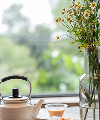 һѵĹ۾ۻȥճƬ100%