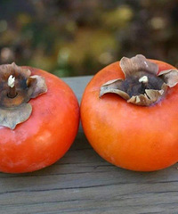 �����Ӿ�Ȼ�������к��������ǲ������Ŷ��