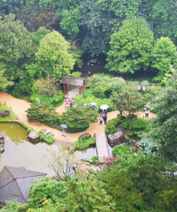 去鹅岭公园看免费的菊花展,园景打造得超乖,人不多拍照还漂亮