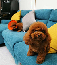 װ޽͹װ޵ĺ̼ңһƼ