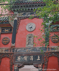 不要门票的老君洞简直是个宝藏,视野绝了,完全不输“一棵树”