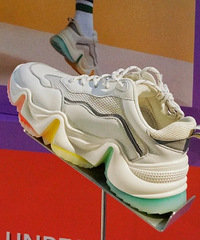 ȥȷ磬һ˫ôĹϥѥ۸Ҳ