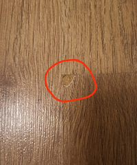 才铺装的木地板表层掉了一块,师傅叫我涂点指甲油,这是认真的?