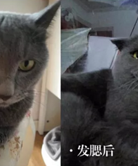 各大颜值女明星为何集体发腮?不注意这些,你也会小脸变方脸