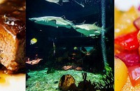 ������������Ȼ�������û��һվʽ�㶨�Ժ�����