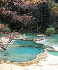 ���������Σ�����·������һ·���������ľ�կ��������Ȼ�ܾ�