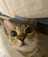 �о��Ҽҵ�è��ֵ��ĺܸߣ�������ʱ�޿̶���ɹ��������